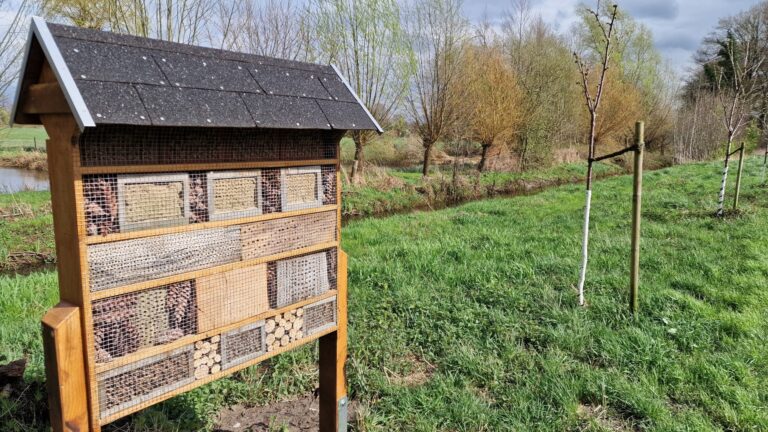 Insektenhotel ist fertig