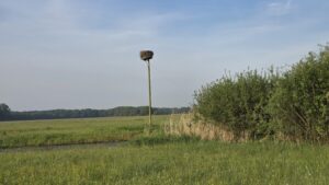 Vogelkundliche Tour 2026